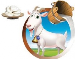 KEÇİ SÜTÜ ( 3 LİTRE )