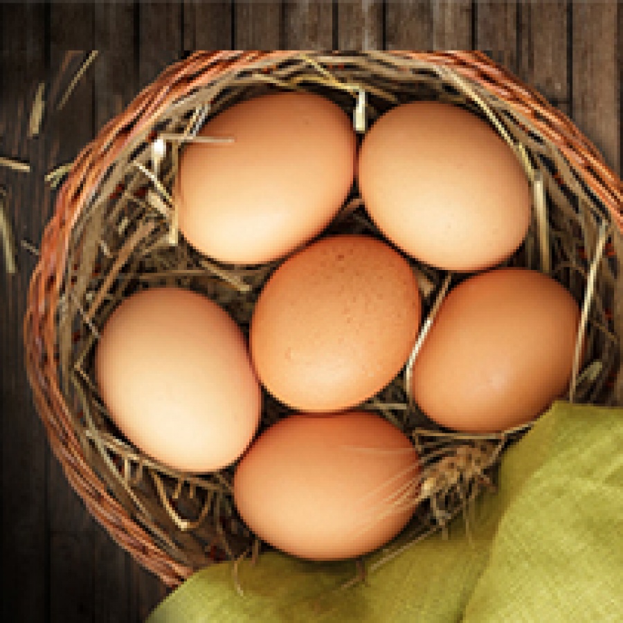 Gezen Tavuk Yumurtası (15 li)